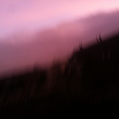 Mother Of The World (Swans Cover)