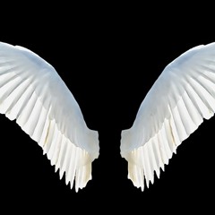 How to Deal with the Bills After the Death of a Spouse or Parent