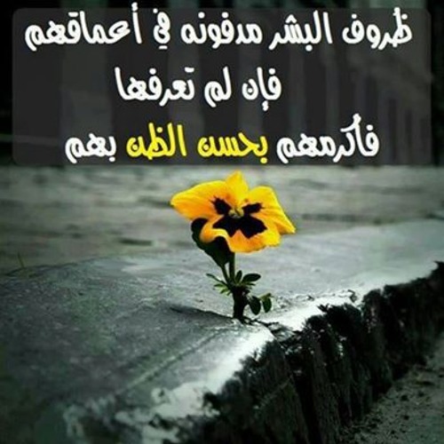 نفسي اشوفها _ ريان خالد