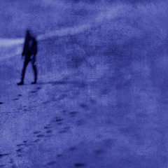 pr0te - Do You Wanna