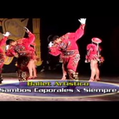 Mix Sambos X Siempre 2007(original)- CONCURSO NACIONAL