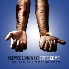 Peewee Longway - Cut Like Me (Prod By @Timmydahitman) #BlueMMKingSize