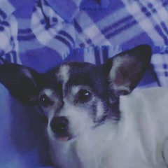 Mika<3