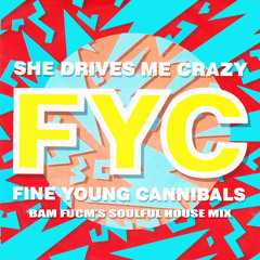 SHE DRIVES ME CRAZY Bam Fucm Soulful House Mix.MP3