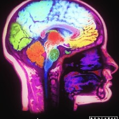 Variables. (Prod. by Soulistik.)