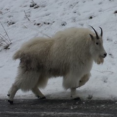 Whatever Happened To Henry Topaze