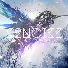 Birds of Paradise (Original Mix)