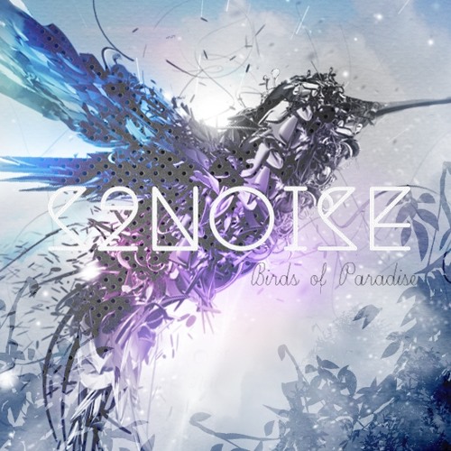 Birds of Paradise (Original Mix)