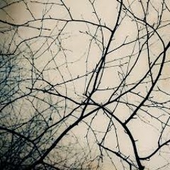 Winter (Featuring Anas)