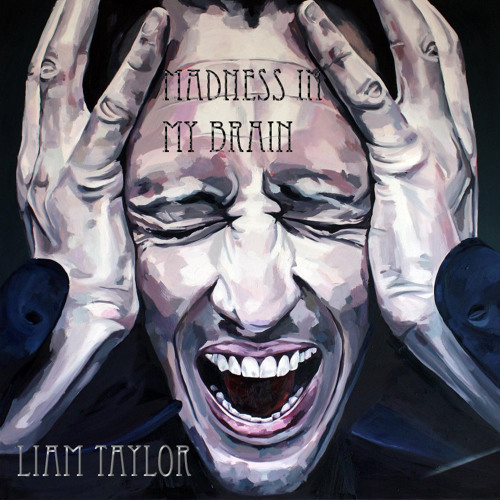 Liam Taylor - Madness In My Brain
