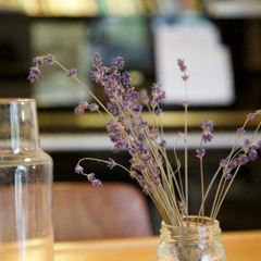 Coco Family - Deborah Cohen