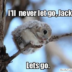 Floristik @  Let's Groove Jack