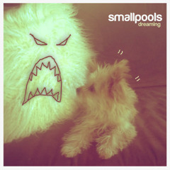 Dreaming - Smallpools cover