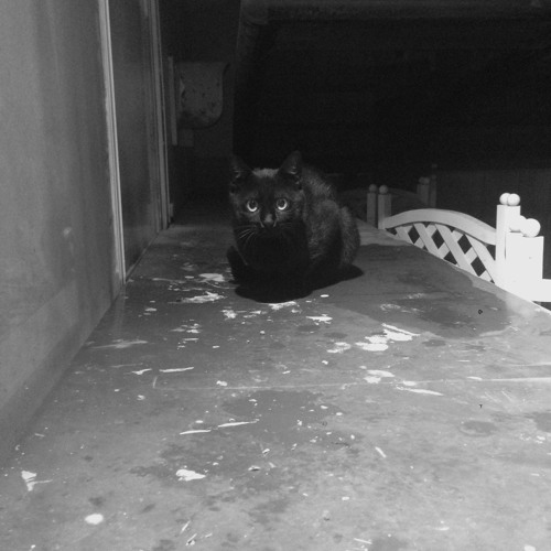 2014.12.31 softly prepared