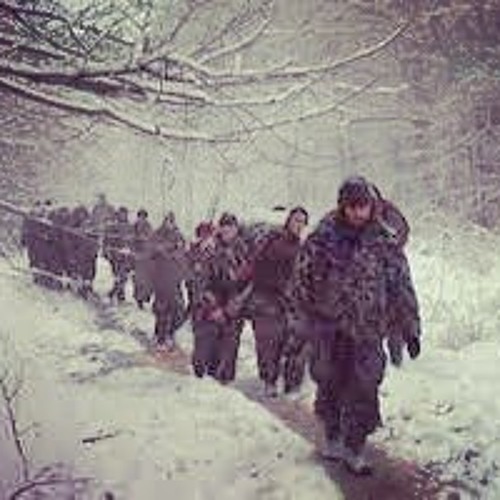 Боевики в горах чечни