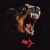 Artwork for St Justice - Albert Hammond Jr. (acoustic)