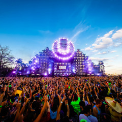 ! - Big Room - !