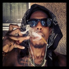 Welcome To The Mind Of A Insane Elite Nigga