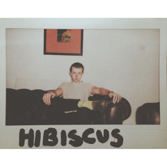 Hibiscus - Wistful Origin