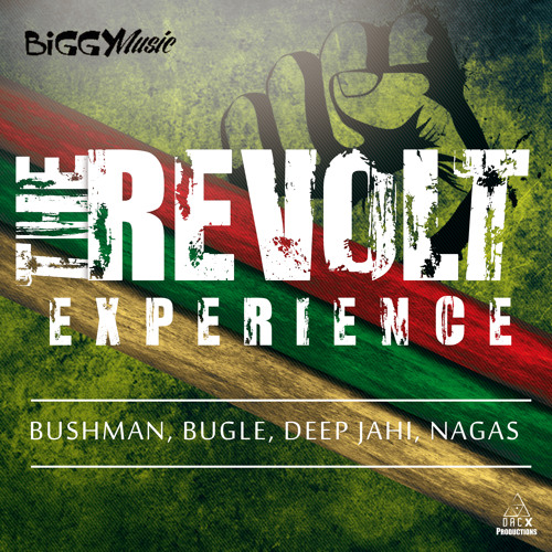 THE REVOLT EXPERIENCE - BUSHMAN