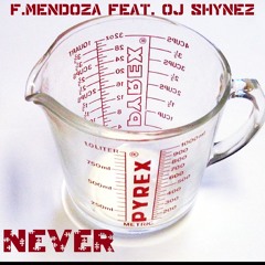 LANDR - Never F. Mendoza Feat. OJ Shynez