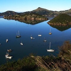 Vidyapati's Song or "Ngaa Waiata O Wirapati" English & NZ Maori Version