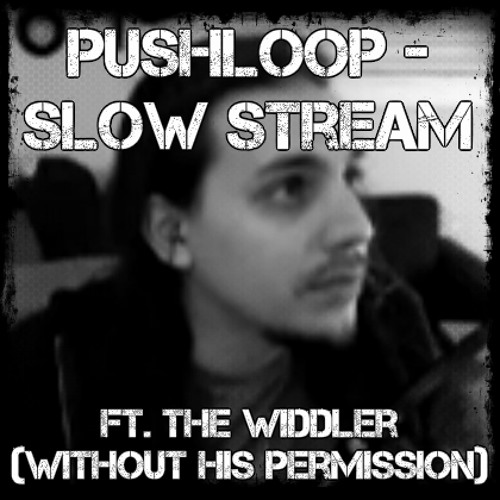 Pushloop - Slow Stream Ft. The Widdler (without his permission)