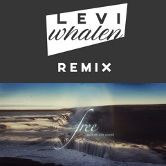 Salt Of The Sound - Free (Levi Whalen Remix)