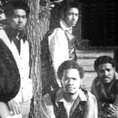 Sly, Slick, and Wicked