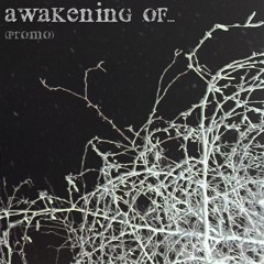 Awakening of...(promo)