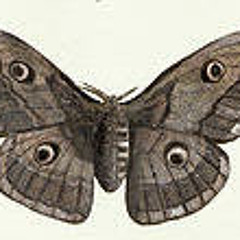 Whistling Past the Graveyard