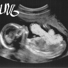 01 Frank Zappa (You Know You're The Girl)