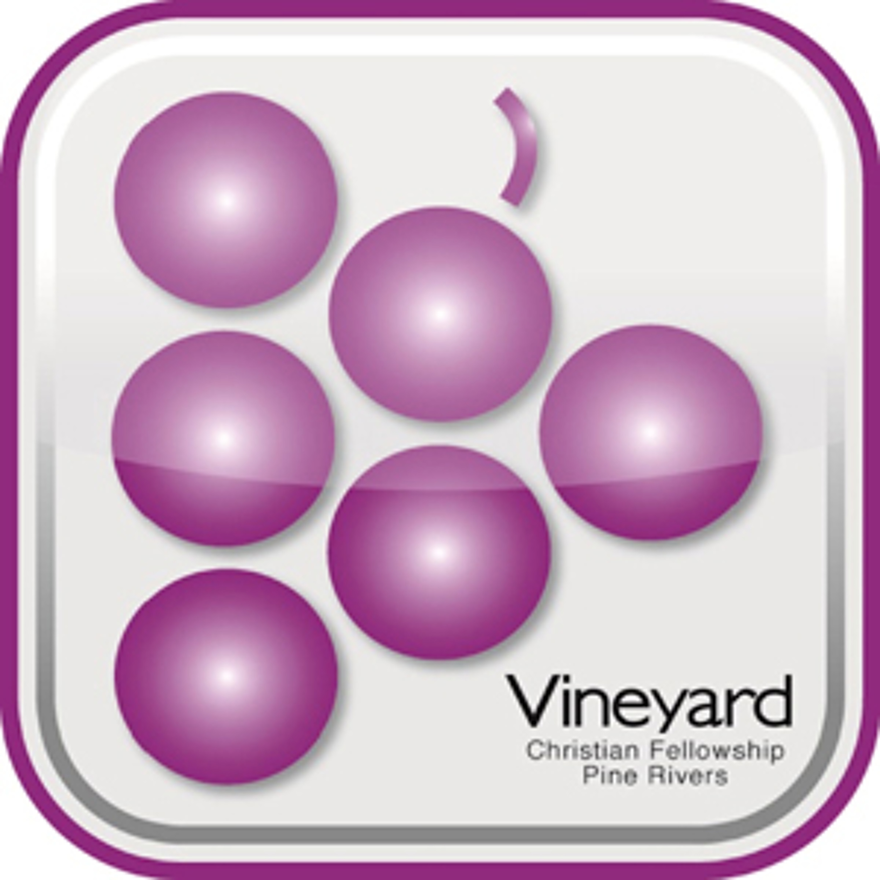 Pine Rivers Vineyard
