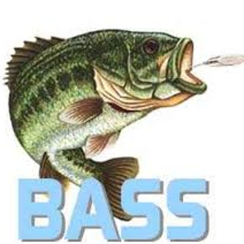 Stream Bass Phishing by Bass Titans Listen online for free on SoundCloud