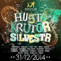 Subgate @ Hustokrutor_NYE_31.12.2014_Magnum_Prague