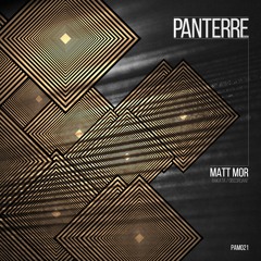 PAM021 : Matt Mor - Rakata (Original Mix)