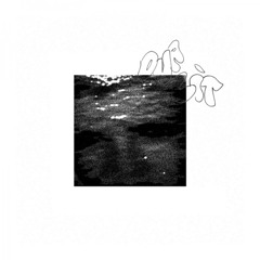 DUALIT - Sturm
