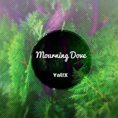 Yal!X - Mourning Dove