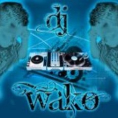 Dj Wako-Veled Vagyok (radio mix)