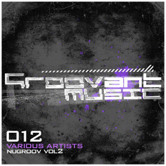 The Reactivitz - Flood (Original Mix) [Groovant Music]