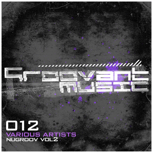 The Reactivitz - Flood (Original Mix) [Groovant Music]