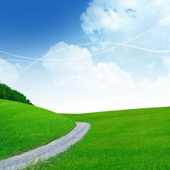 Mansur Al Salimi - Al Lail