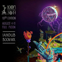 Iain Dub @ BOOM Festival 2014 (Chillout Gardens)