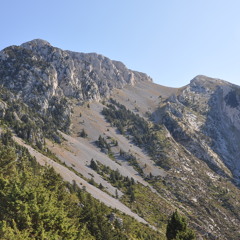 JzBach Aria
