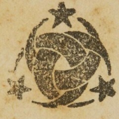 Bir operasyon var bu gece