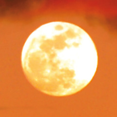 River Moons (John Muehleisen)