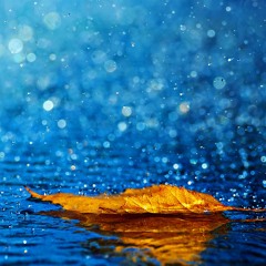 sufi ney & kanun - yağmur