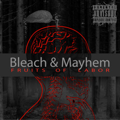 Mayhem X Bleach  - FLY - Feat. Steph (Prod By Pabzzz) FULL ALBUM  In Description