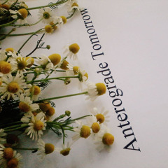 Anterograde Tomorrow