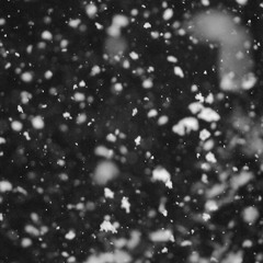 V I B E S (1K Thank You)